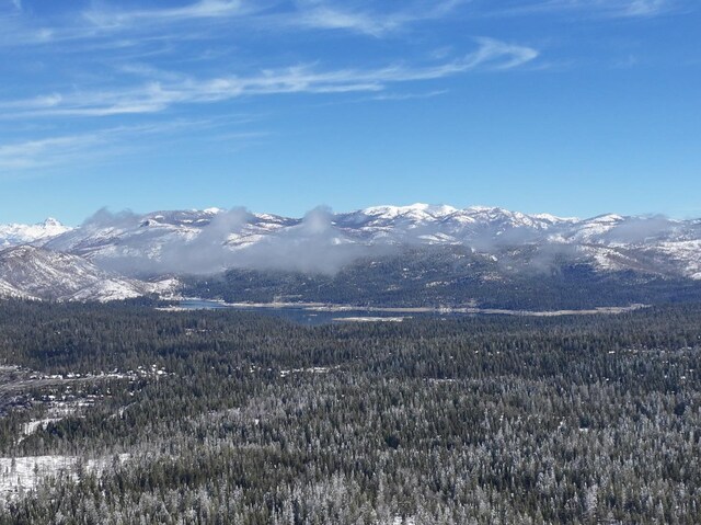32 Mountain Heather, Shaver Lake, CA 93664