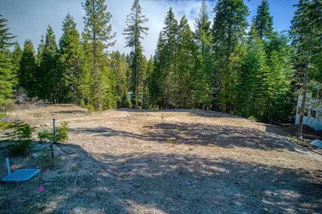 32 Mountain Heather, Shaver Lake, CA 93664