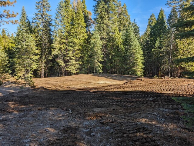 32 Mountain Heather, Shaver Lake, CA 93664