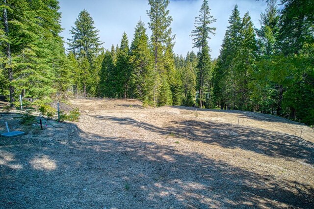 32 Mountain Heather, Shaver Lake, CA 93664