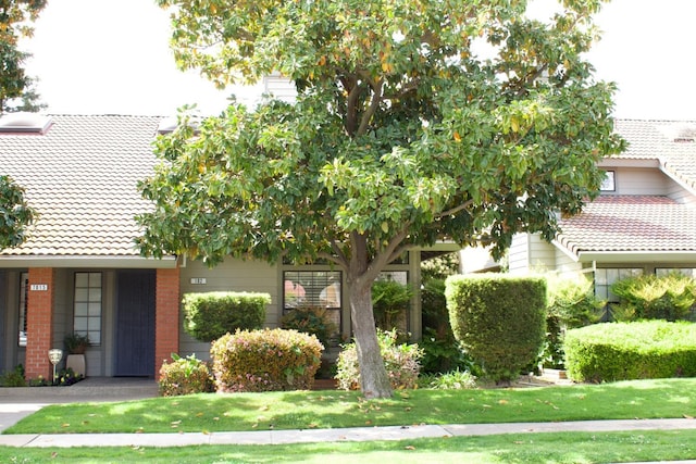 view of front of home with a front lawn, a tiled roof, and brick siding