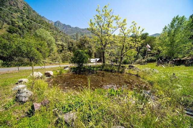 view of yard featuring a wooded view and a mountain view