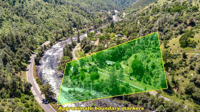 bird's eye view with a view of trees