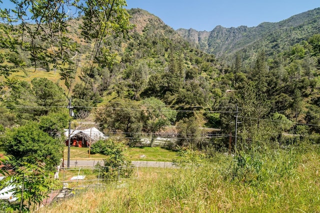mountain view featuring a wooded view