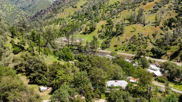 drone / aerial view with a wooded view