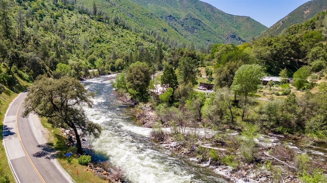 drone / aerial view featuring a wooded view and a mountain view