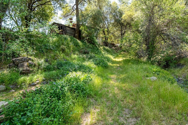 view of landscape