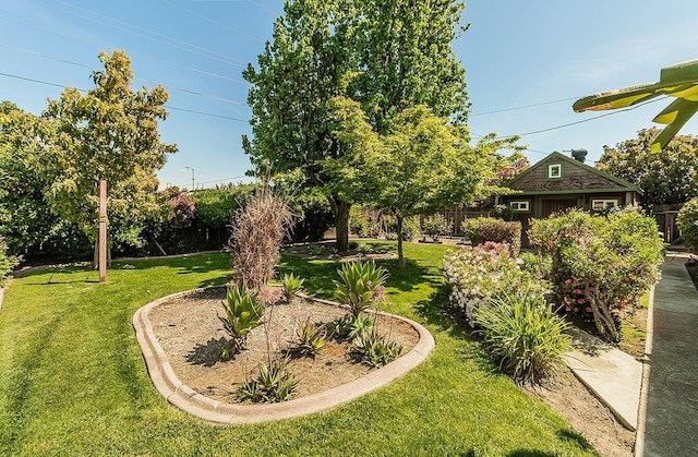 720 I St, Parlier, CA 93648 - view of yard