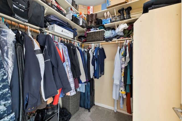 683 W Forest St, Kingsburg, CA 93631 - walk in closet with carpet floors