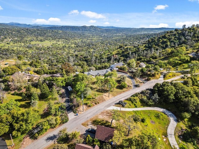 31021 Blue Heron Way, Coarsegold, CA 93614 - photo 41