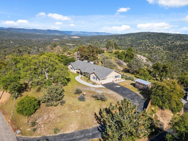 31021 Blue Heron Way, Coarsegold, CA 93614 - photo 36