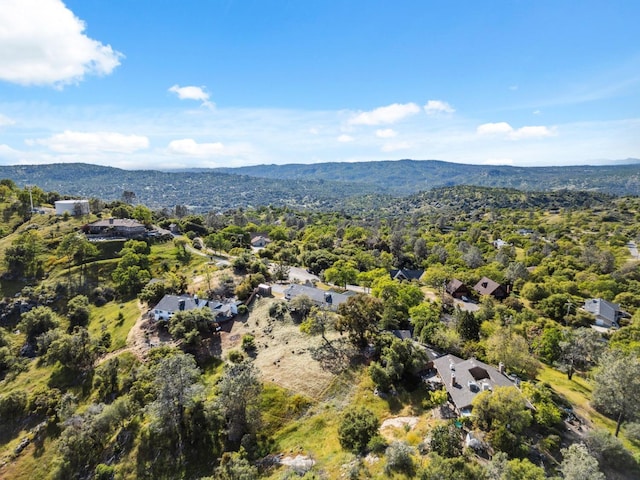 31021 Blue Heron Way, Coarsegold, CA 93614 - photo 46
