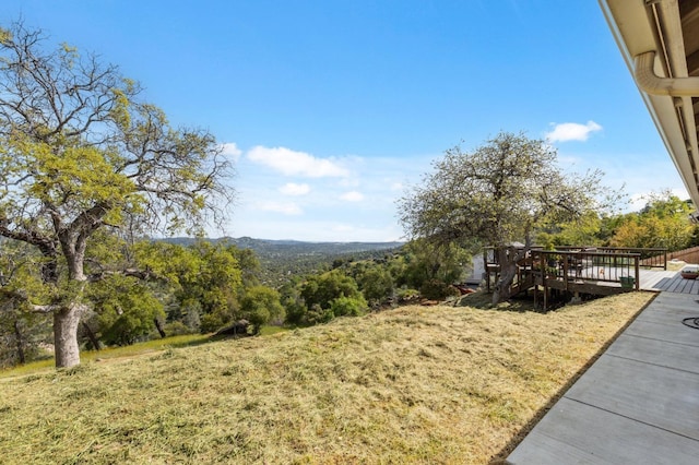 31021 Blue Heron Way, Coarsegold, CA 93614 - photo 28