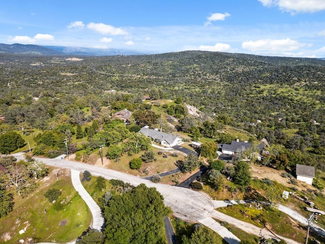 31021 Blue Heron Way, Coarsegold, CA 93614 - photo 40