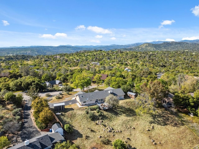 31021 Blue Heron Way, Coarsegold, CA 93614 - photo 47