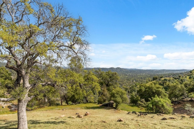 31021 Blue Heron Way, Coarsegold, CA 93614 - photo 29