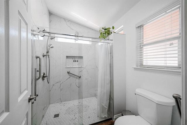 bathroom with lofted ceiling, toilet, a marble finish shower, and healthy amount of natural light