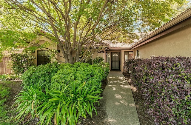 doorway to property featuring fence and stucco siding