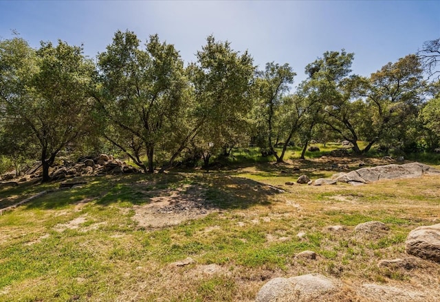 31200 Revis Rd, Coarsegold, CA 93614 - view of nature