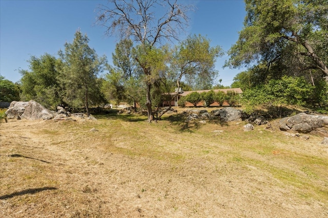 31200 Revis Rd, Coarsegold, CA 93614 - view of landscape