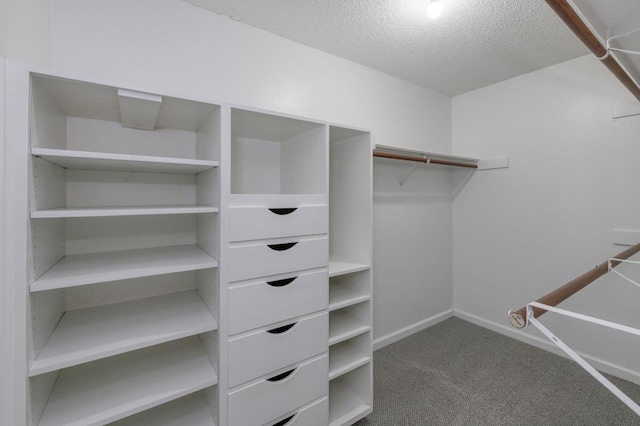 7560 N Charles Ave Unit C, Fresno, CA 93711 - walk in closet with carpet