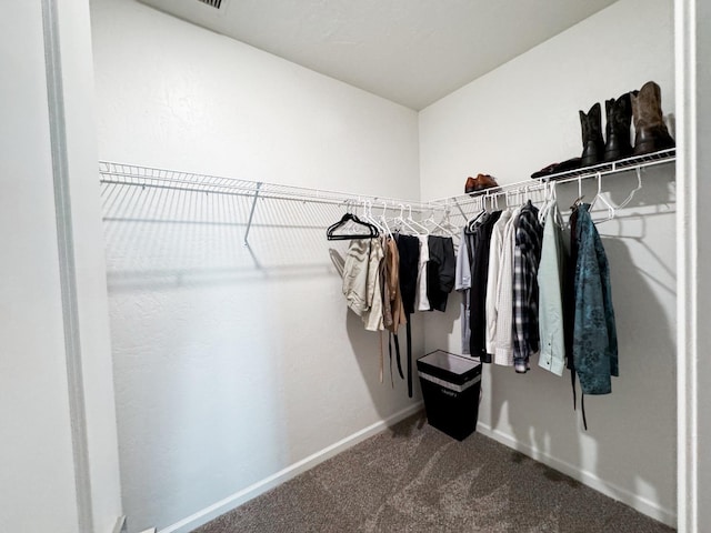 3395 Las Rosas Ave, Clovis, CA 93619 - spacious closet featuring carpet flooring