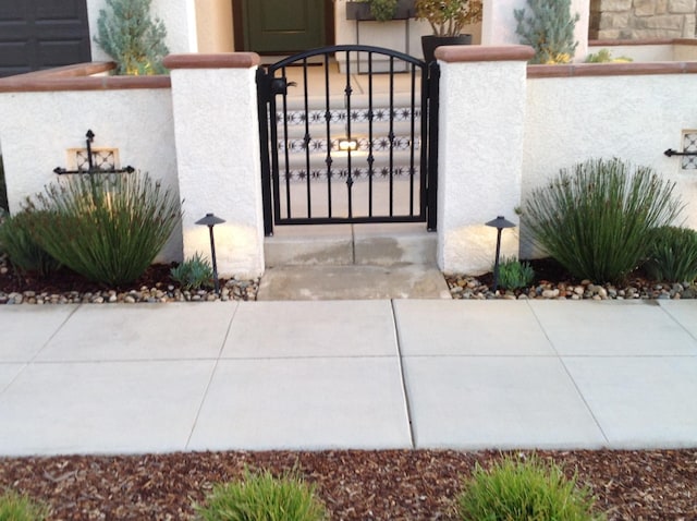 view of gate with a fenced front yard