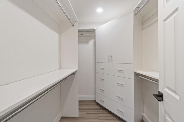 1125 N Purdue Ave, Clovis, CA 93611 - spacious closet featuring light wood-style floors