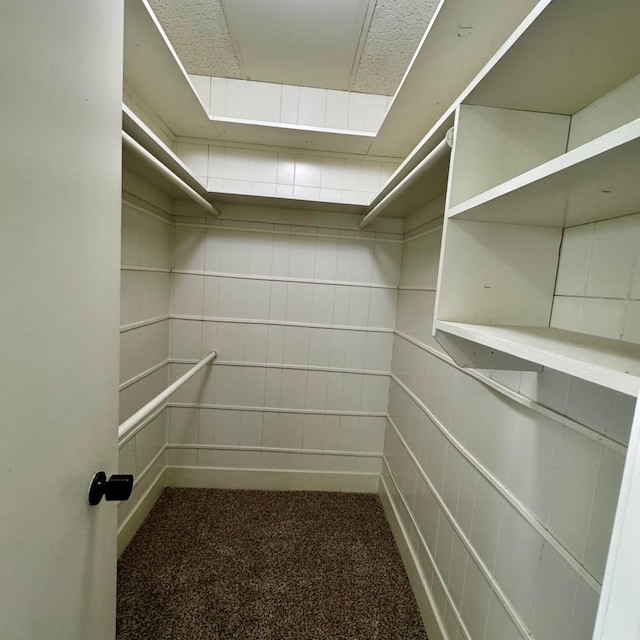 spacious closet with dark carpet