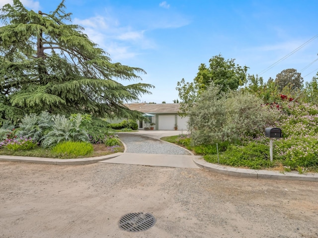6043 N Forkner Ave, Fresno, CA 93711 - view of property hidden behind natural elements featuring driveway and a garage