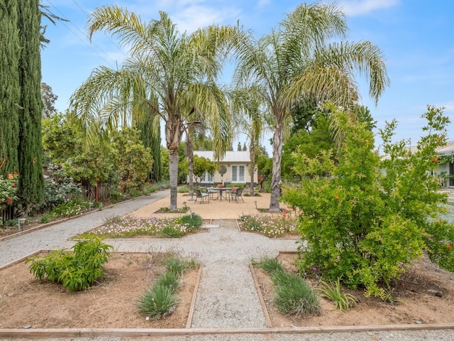 6043 N Forkner Ave, Fresno, CA 93711 - view of yard with a patio area