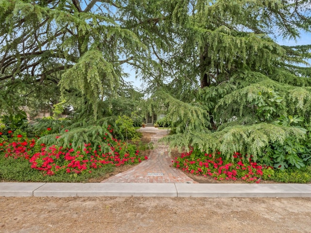 6043 N Forkner Ave, Fresno, CA 93711 - view of property's community
