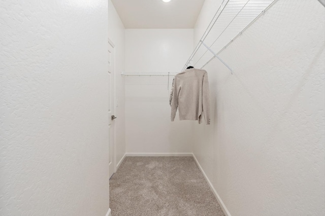1899 N Apricot Ave, Fresno, CA 93727 - walk in closet with carpet