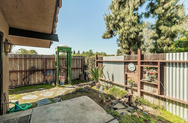 view of yard with a patio area and a fenced backyard
