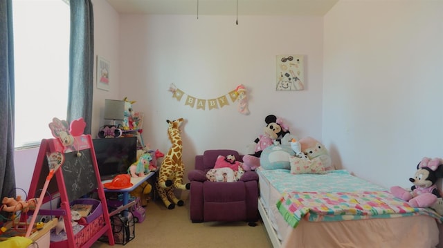 bedroom with carpet
