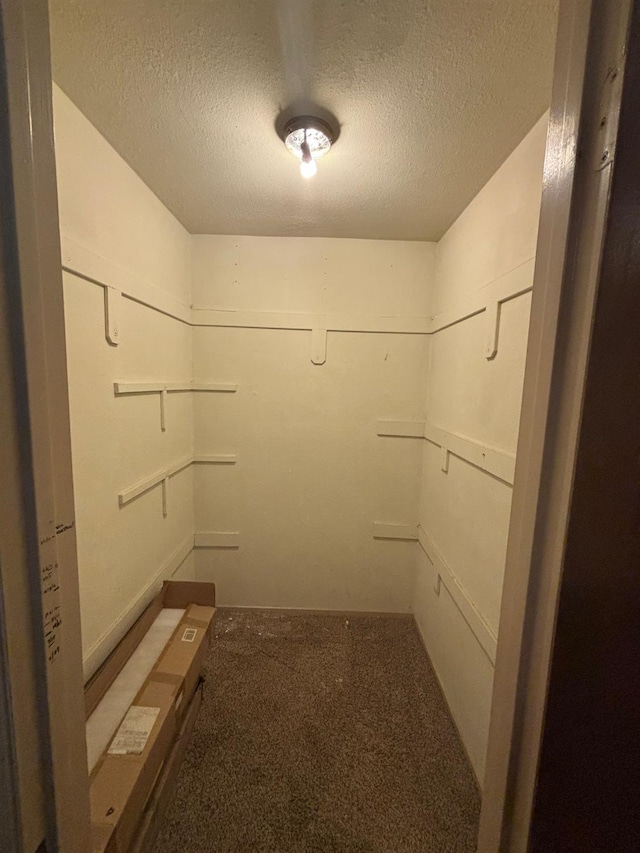 1225 Pontiac Ave, Clovis, CA 93612 - spacious closet with carpet flooring