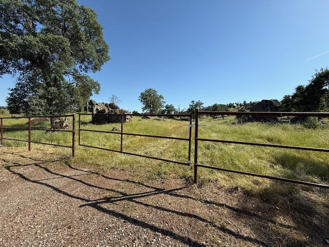 view of yard featuring a rural view, fence, and a gate