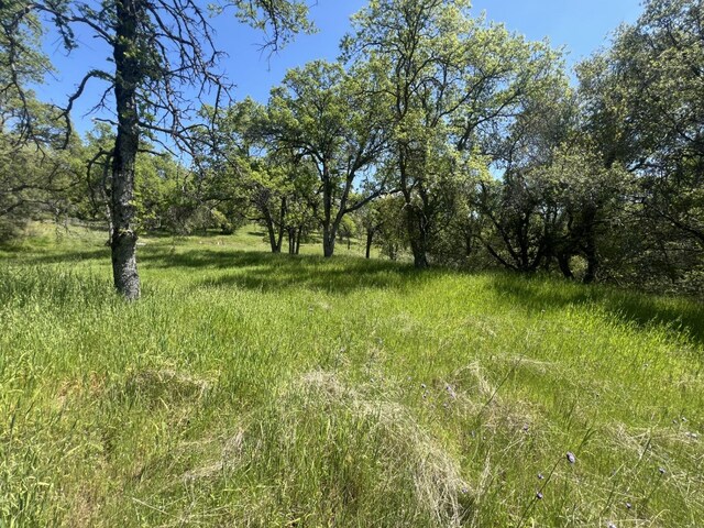 0 Veater Ranch Rd, Coarsegold, CA 93614 - photo 9