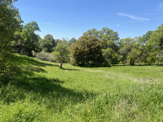 0 Veater Ranch Rd, Coarsegold, CA 93614 - photo 8