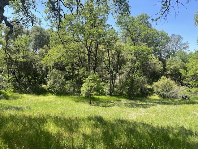 0 Veater Ranch Rd, Coarsegold, CA 93614 - photo 7