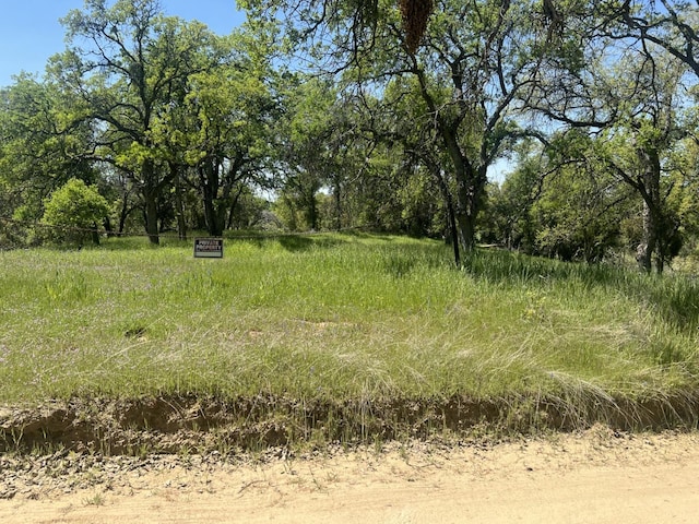 0 Veater Ranch Rd, Coarsegold, CA 93614 - photo 4