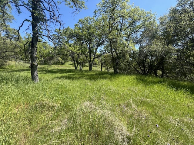 0 Veater Ranch Rd, Coarsegold, CA 93614 - photo 5