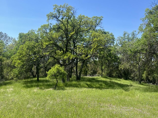 0 Veater Ranch Rd, Coarsegold, CA 93614 - photo 6