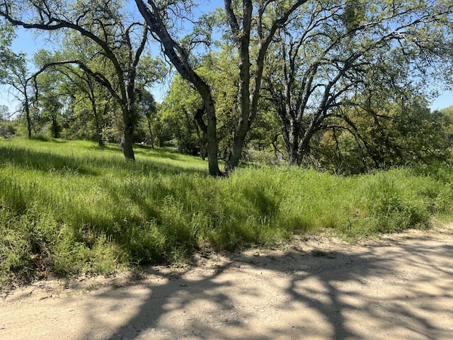 0 Veater Ranch Rd, Coarsegold, CA 93614 - photo 1