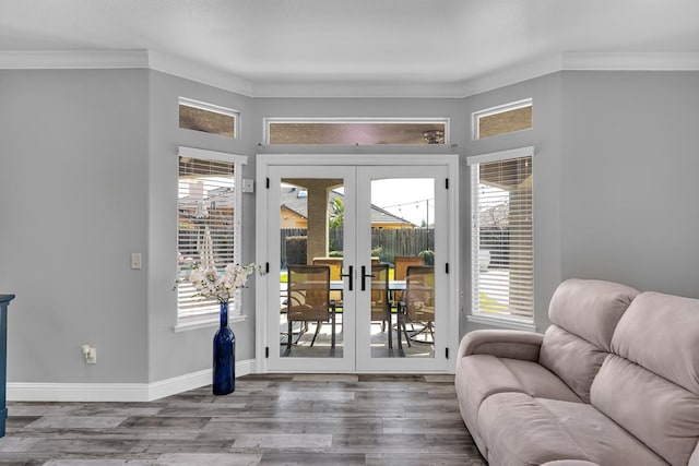 entryway featuring plenty of natural light and wood finished floors