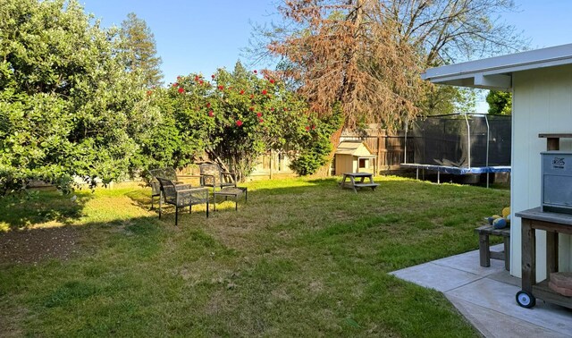 view of yard featuring a trampoline