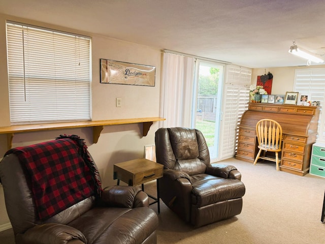 living area featuring carpet flooring
