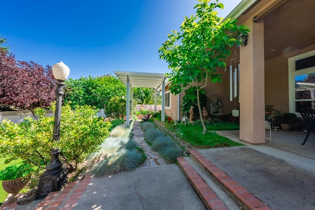 18778 Shore Dr, Madera, CA 93638 - view of yard featuring a patio and a pergola