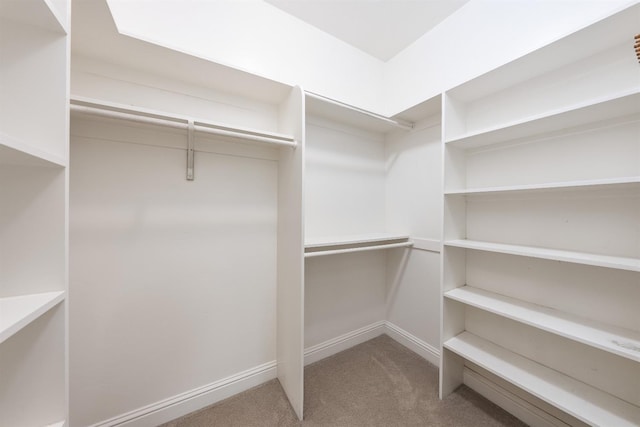 18778 Shore Dr, Madera, CA 93638 - walk in closet featuring carpet floors