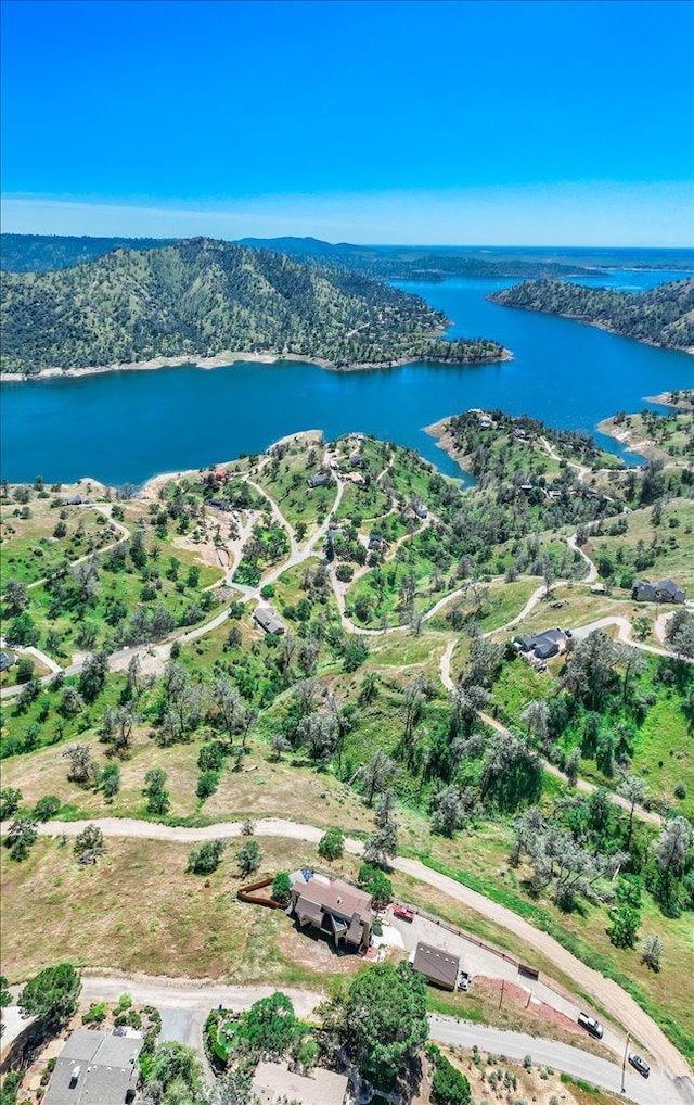 bird's eye view featuring a water view and a wooded view